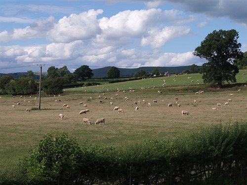 Dove Meadow Bed & Breakfast Denstone エクステリア 写真